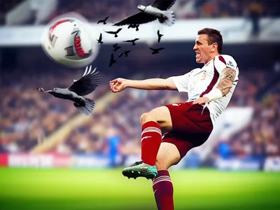 Illustration sliced - Image 1