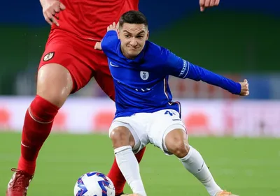 Illustration nutmegged - Image 1