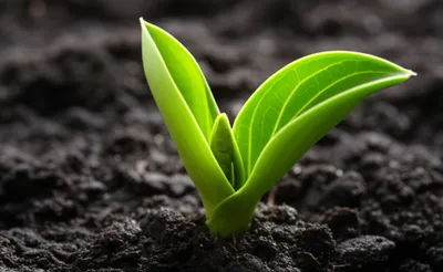 Illustration new - Image 1