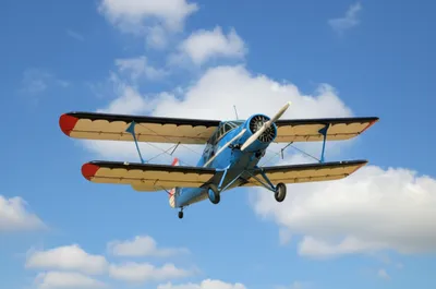 Illustration decks - Image 1