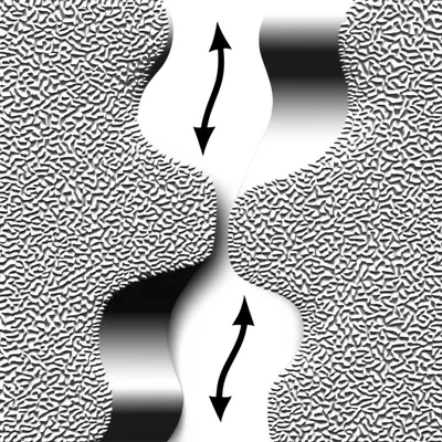 Illustration binding - Image 1