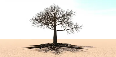 Illustration barer - Image 1