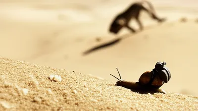 Illustration retarding - Image 1