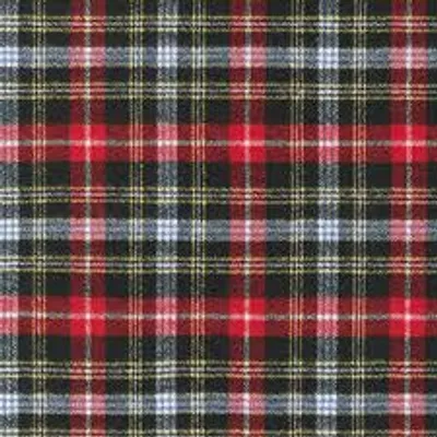 Illustration plaid - Image 2