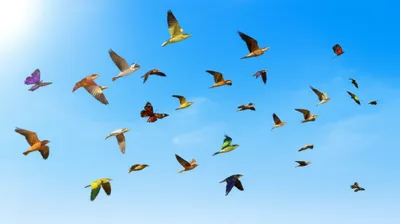 Illustration fliers - Image 1