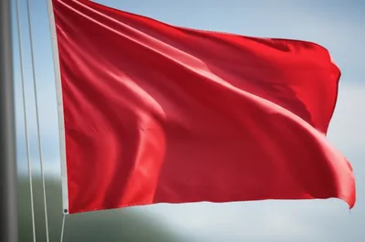 Illustration flys - Image 1