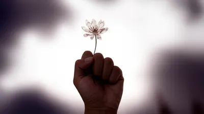 Illustration relenting - Image 1