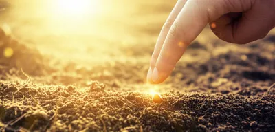 Illustration posit - Image 1