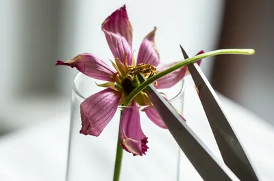 Illustration abating - Image 1