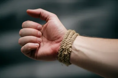 Illustration ligature - Image 1