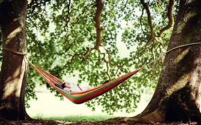 Illustration unbending - Image 1