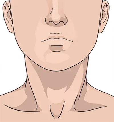 Illustration chin - Image 1