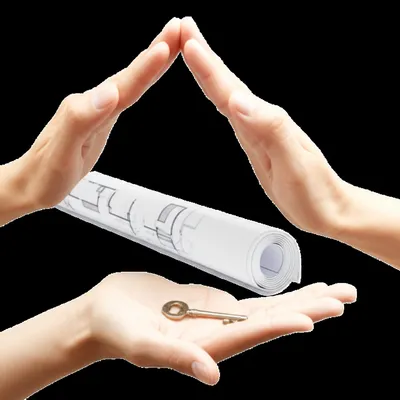 Hình ảnh minh họa stipulates