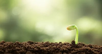 Illustration abs - Image 1