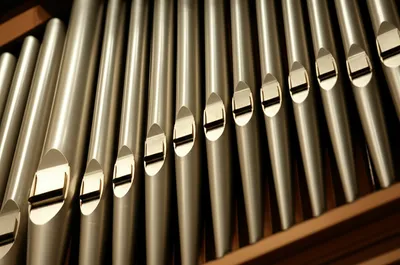 Illustration rank - Image 1