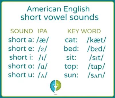 Illustration short - Image 2