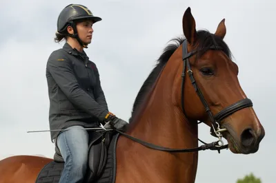 Illustration whoa - Image 1