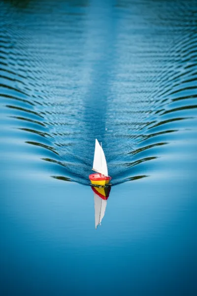 Illustration trailing - Image 1