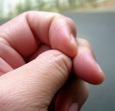 Illustration articulation