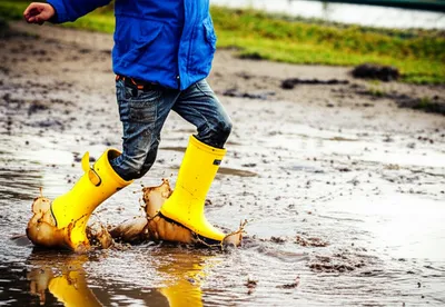 Illustration splashy - Image 1