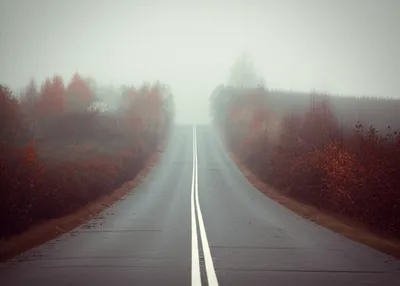 Illustration finish - Image 1