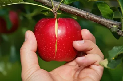 Illustration picked - Image 1