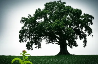 Illustration belittle