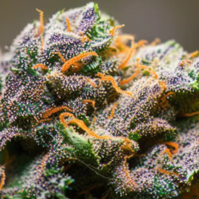 Illustration gasses - Image 1