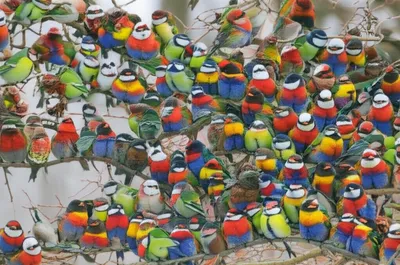 Illustration crowds - Image 1