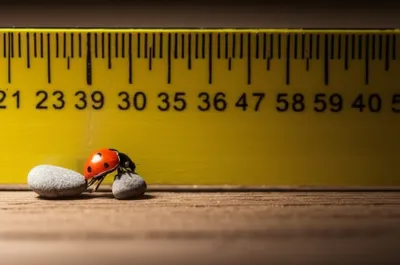 Illustration erg - Image 1