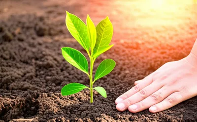 Illustration ground - Image 1