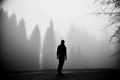 Illustration bate - Image 1