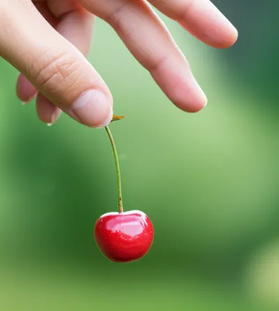 Illustration drops - Image 1