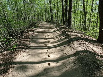 Illustration backtrack