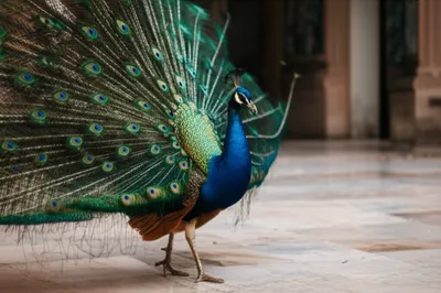 Illustration jet - Image 1