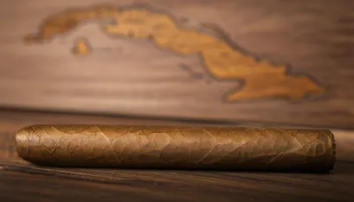 Illustration puro - Image 1