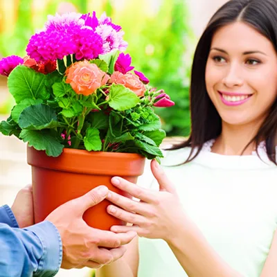 Illustration owing - Image 1