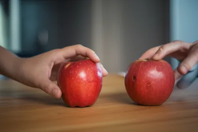 Illustration compare - Image 1