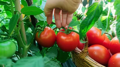 Illustration picked - Image 1