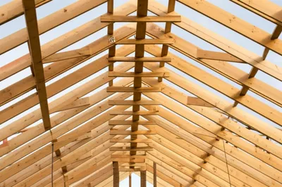 Illustration blades - Image 1