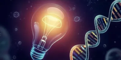 Hình ảnh minh họa reporter - Ảnh 1