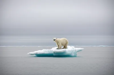 Illustration extinguishes - Image 1