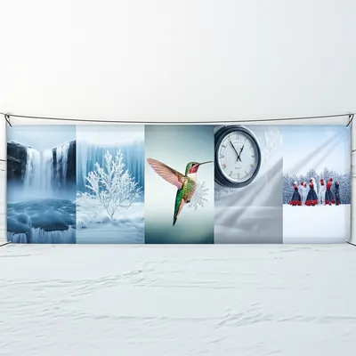 Illustration freeze - Image 1