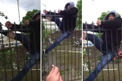 Illustration caper - Image 2