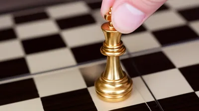 Illustration laying - Image 1