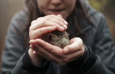 Illustration stall - Image 1
