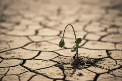 Illustration weakly - Image 1