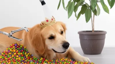 Illustration overpaid - Image 1