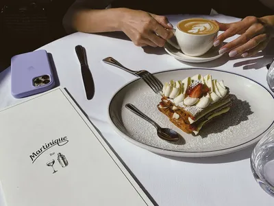 Illustration napoleon - Image 2