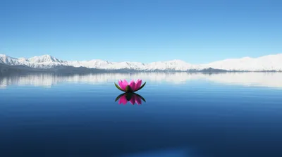 Illustration calmness - Image 1